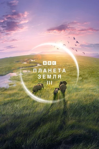 BBC: Планета Земля III