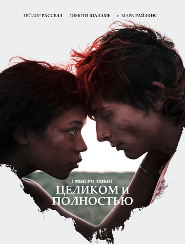 Целиком и полностью